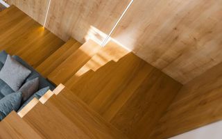 Proiect Modern in Dumbravita - Poză 7