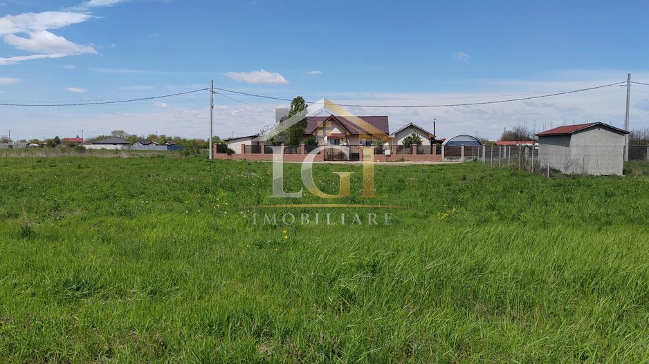 🌿 Teren de vânzare – Răcari, Str. Mestecenilor - Intrarea cu Tei - Poză 3