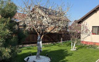 Casa individuală de vânzare, Lunca Cetățuii, 130 mp, 509 mp teren - Poză 11