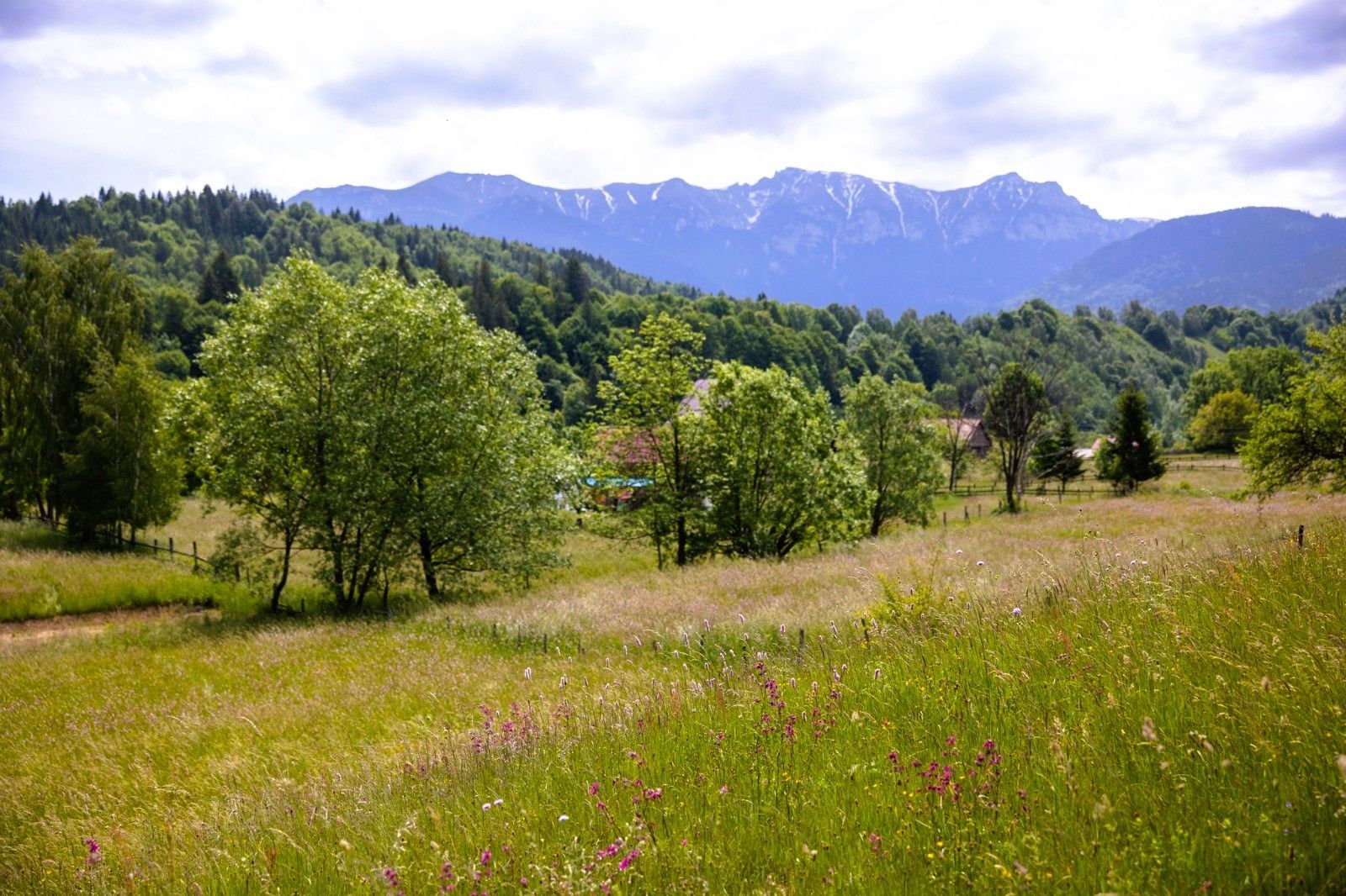 Teren intravilan - 1.050 mp în Bran cu utilitati – priveliște Bucegi - Poză 4