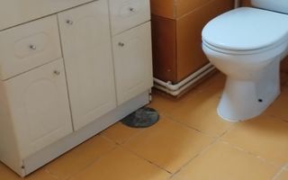 Ultracentral - Spatiu birouri / Comercial de inchiriat (COD08) - Poză 10