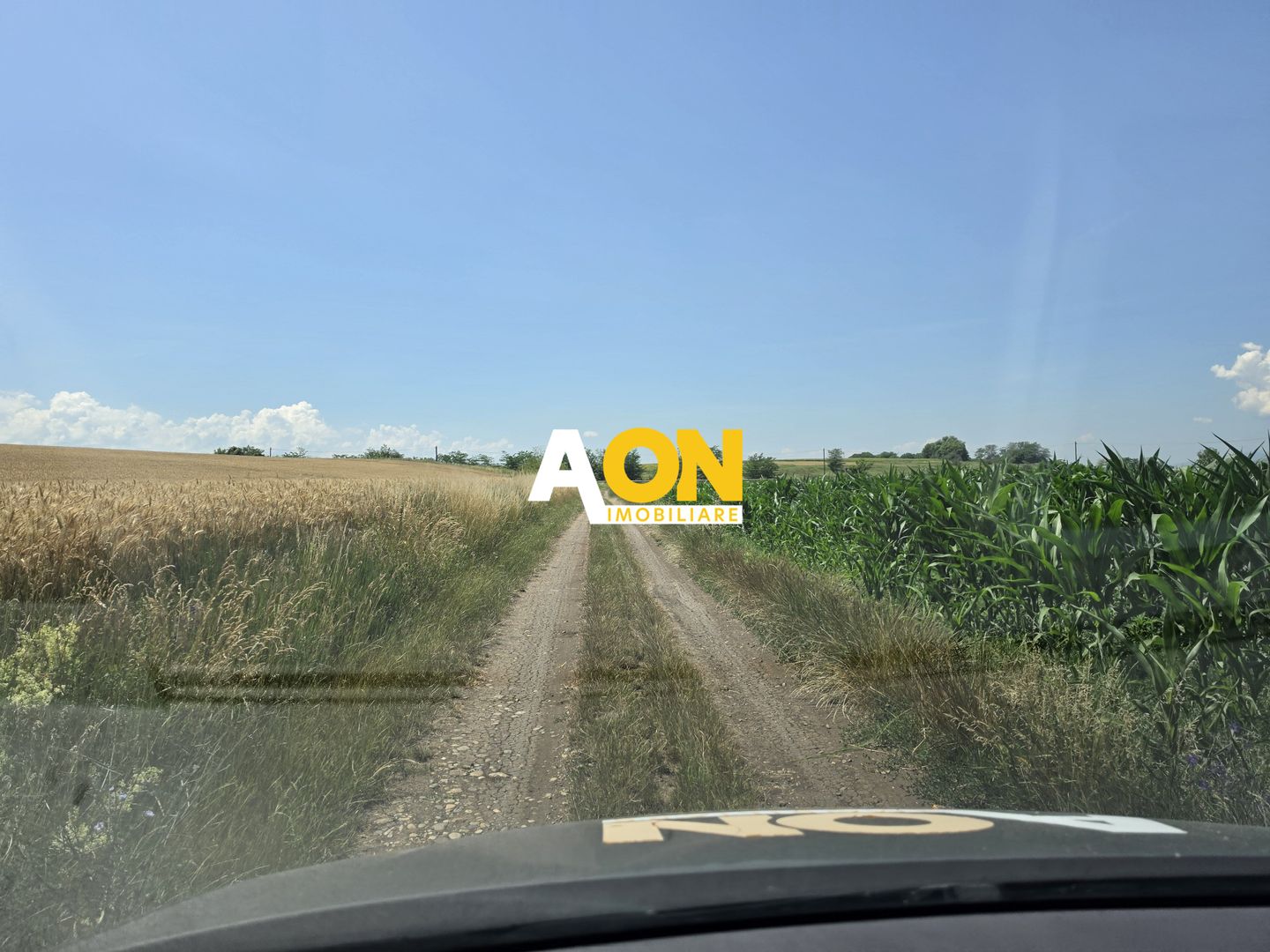 Teren intravilan industrial, 21300 mp, deschidere 77 mp, Vintu de Jos - Poză 3