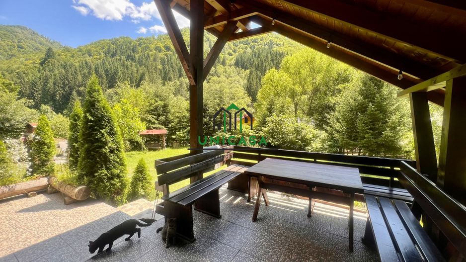Proprietate deosebita de vanzare – Voinesița, Comuna Voineasa - Poză 4