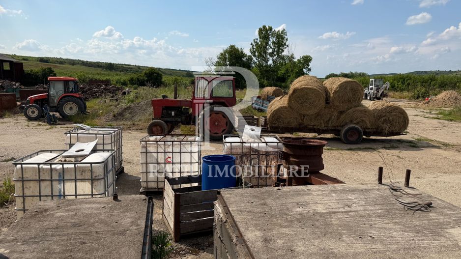 Activ agricol integrat | 67,5 ha | Oportunitate investițională - Poză 3