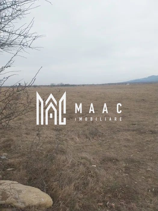 Teren intravilan I Valea Avrigului I 5000 mp - Poză 4