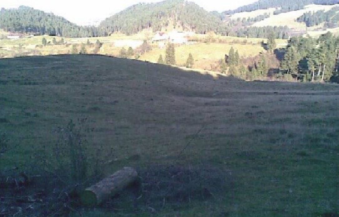 Teren, Sacele - Poză 3