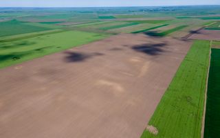 Teren de 5Ha în Satchinez. - Poză 6