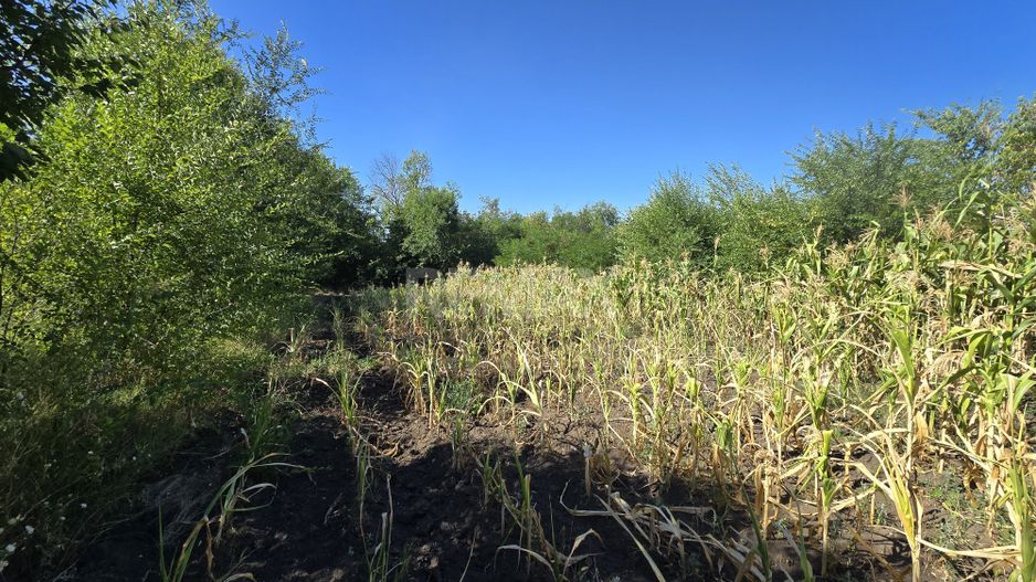 10 ari pentru construcții agroindustriale - Poză 8