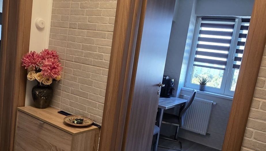Apartament 2 camere Dristor - Camil Ressu - Poză 6