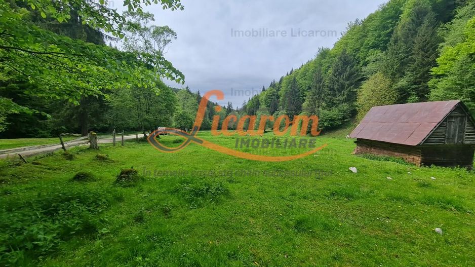 13005 mp teren faneata in Bran Simon cu fornt de 57 mp - Poză 5