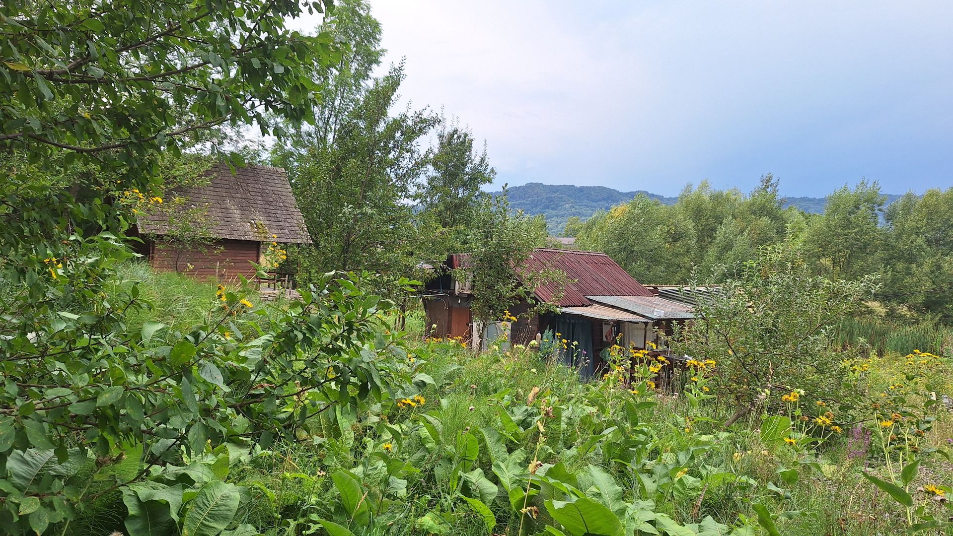 VANZARE ANSAMBLU CASUTE BRADULET ARGES - Poză 11