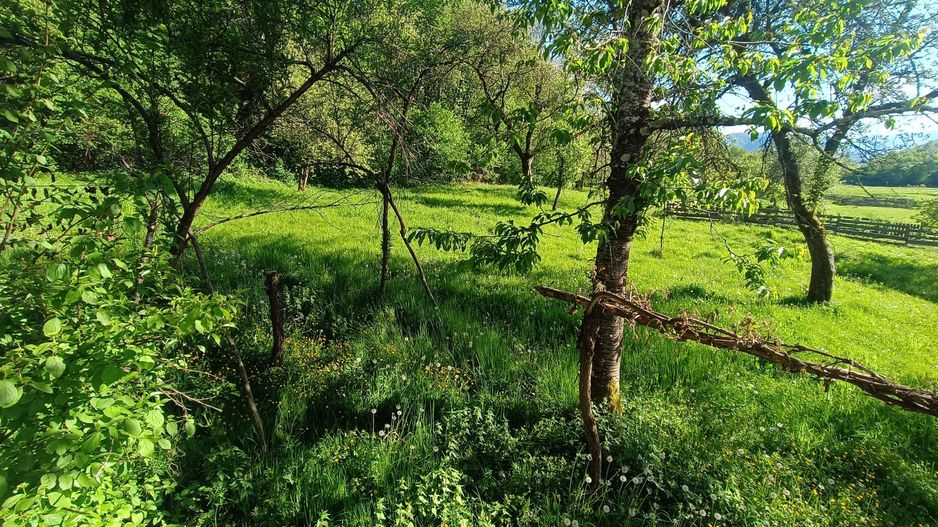 Descoperă căsuța ta de vis la poalele Munților Apuseni - Poză 12