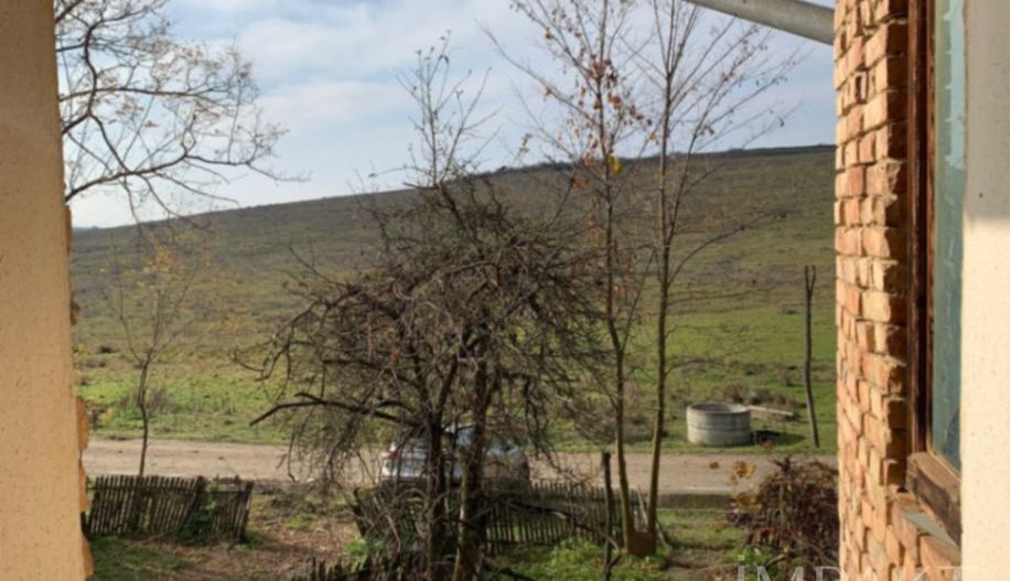De vânzare casă + teren 30 ari - Silivașu de Câmpie, - Poză 2