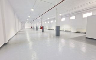 Spatii multifunctionale - Depozitare / Productie usoara / Asamblare - Poză 1