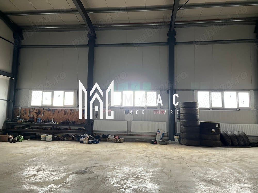Hală industrială I Birouri I Parcare I TIR I 12000 mp I Bradu - Poză 1