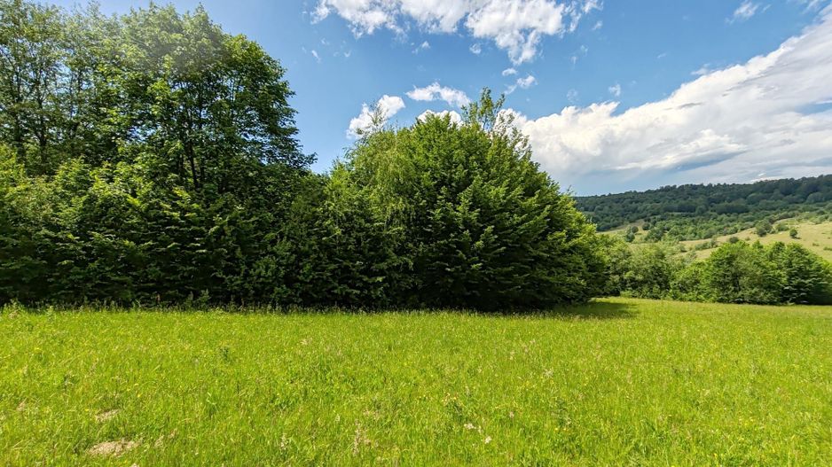 2,6 HA TEREN EXTRAVILAN FANEATA, in Muntii Apuseni, Negreni, jud. Cluj - Poză 2