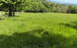 Teren Bran Sohodol 6700 mp - Poză 4