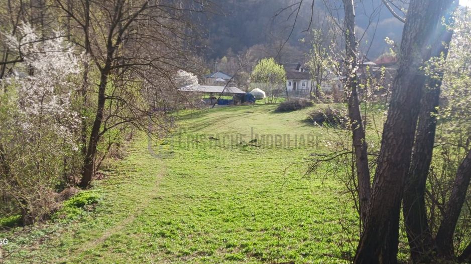 Teren in Comuna Muereasca_suprafata 7489 mp_mixt_situat la 170 m de Primarie - Poză 2