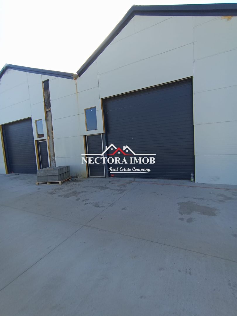 NECTORA IMOB-4 hale industriale noi, Zona Livada de Bihor, Curte mare - Poză 9