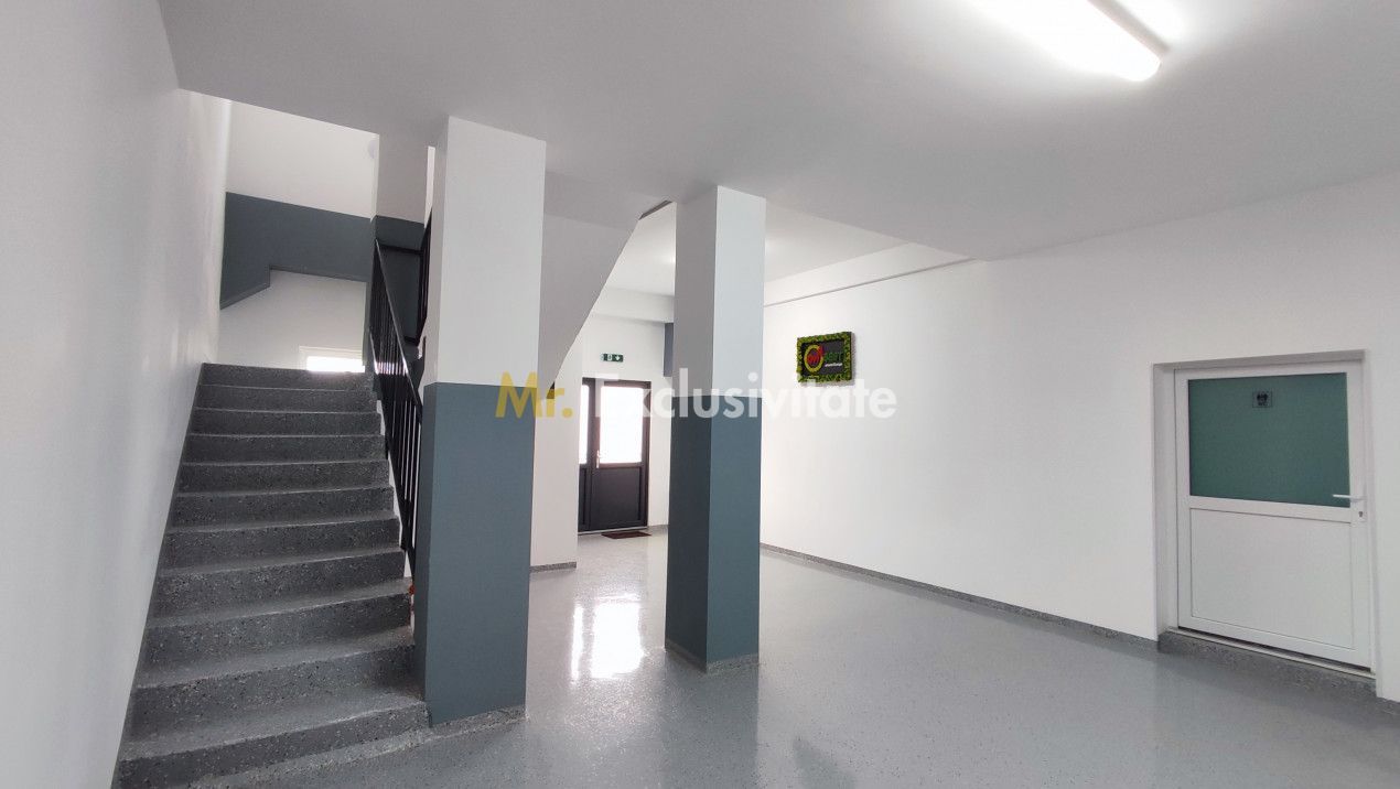 Inchiriere Spații de Birouri/Producție - Str. Uzinei - Carei - Comision 0% - Poză 19
