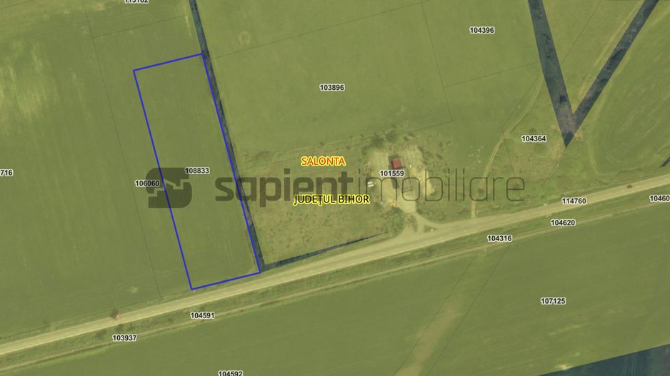 De vânzare teren extravilan, 11,600 mp, Salonta - Poză 1