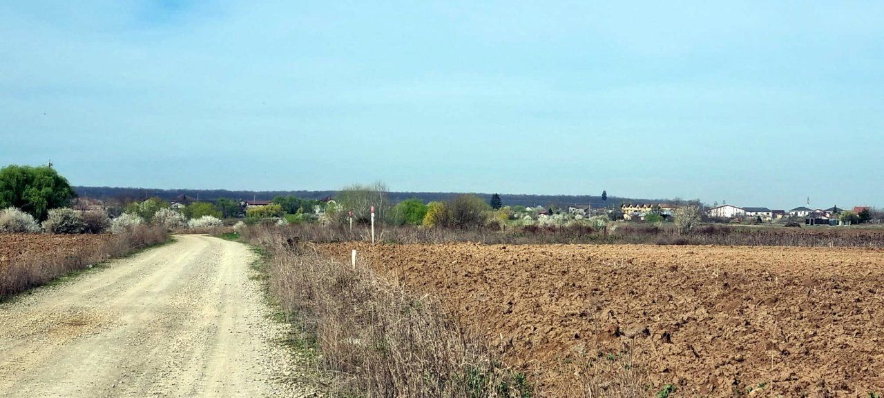 „Corbeanca – aer curat, potențial mare, preț competitiv. 4 loturi - Poză 2