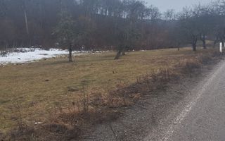 Parcele teren 500-1295 mp cu utilitati-Zona Drumul Tarpiului - Poză 4