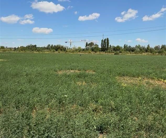Vanzare teren intravilan 5000 mp Drumul Lunca Cetatii - Splaiul Unirii - Poză 5
