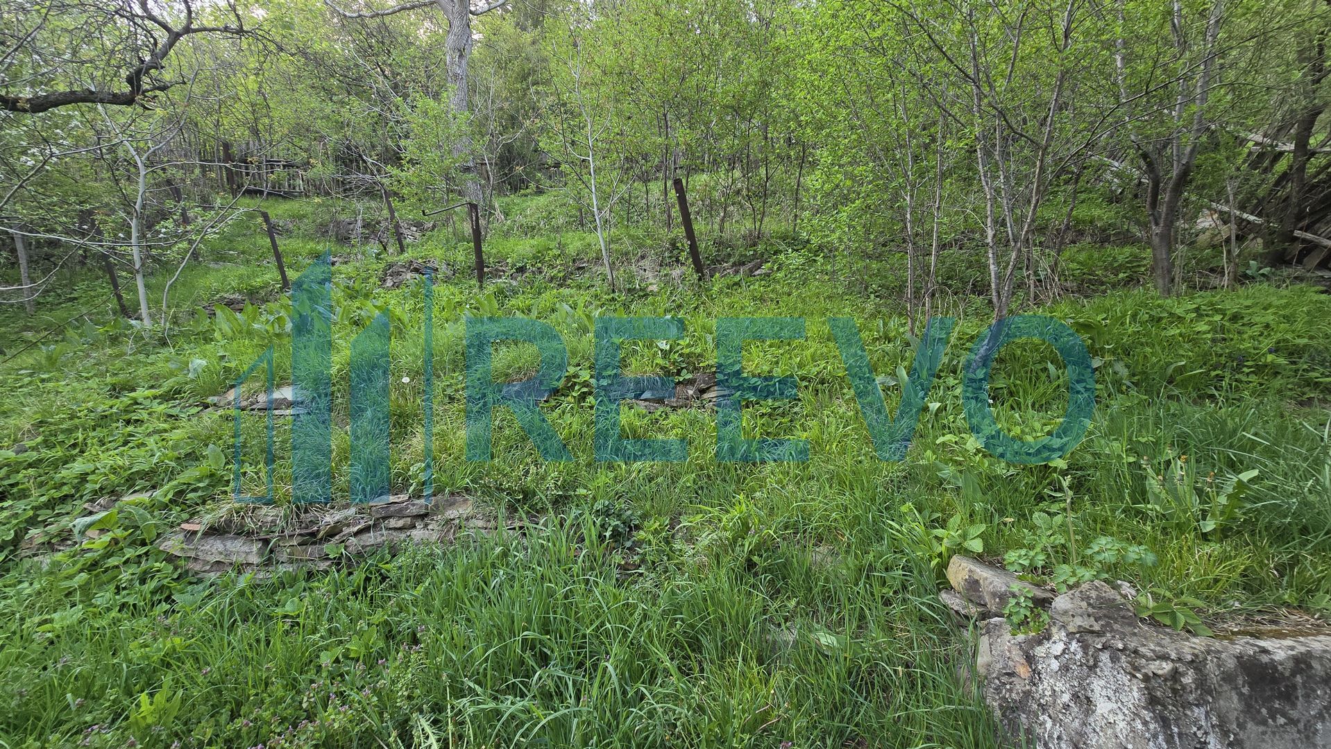 Casă de vânzare, Sat Harja, Oituz - Poză 31