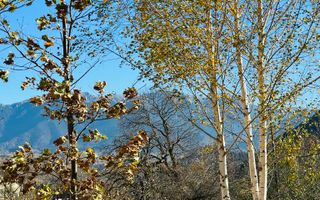 Teren Bran / Predelut cu priveliste 1840mp - Poză 10