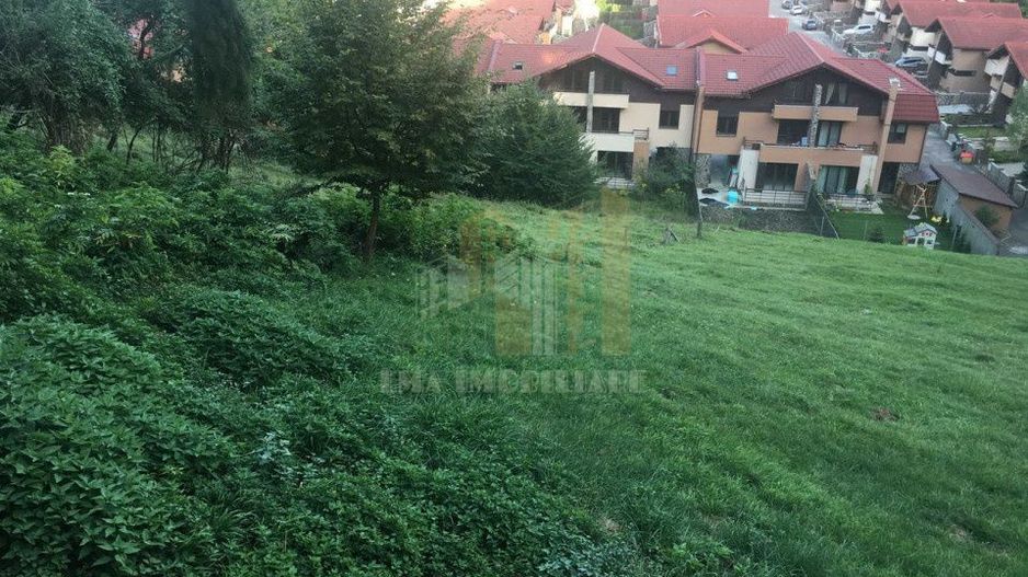 Teren intravilan Brasov Strada Ciresului 2900 mp - Poză 2