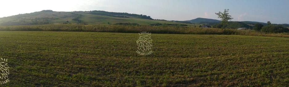 Teren 5500 mp-oportunitate investitie-pretabil cabana-Jelna - Poză 1