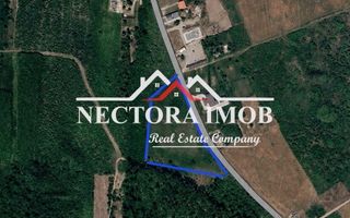 NECTORA IMOB - Loturi teren cu PUZ, utilitati si acces asfaltat, Paleu - Poză 2
