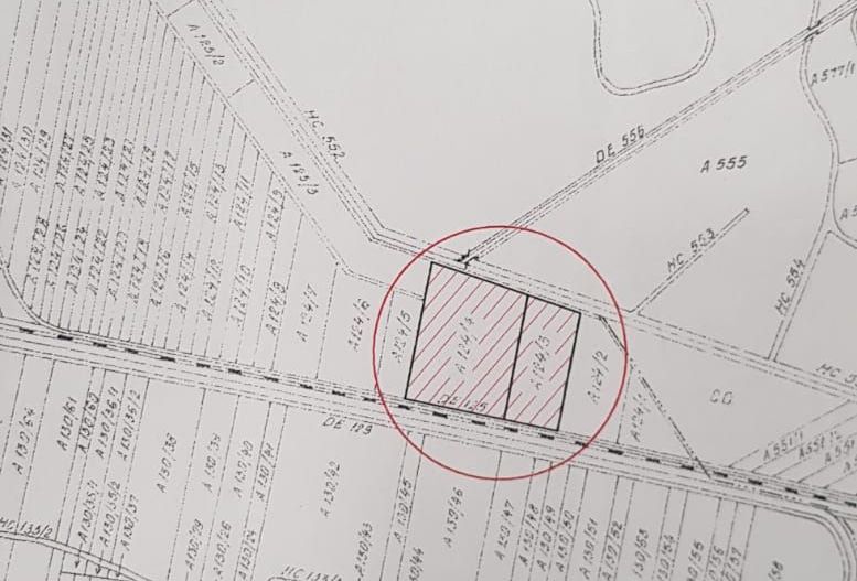 Mosnita Noua Teren 10.000mp | Front 63m | La asfalt - Zona de Case - Poză 7