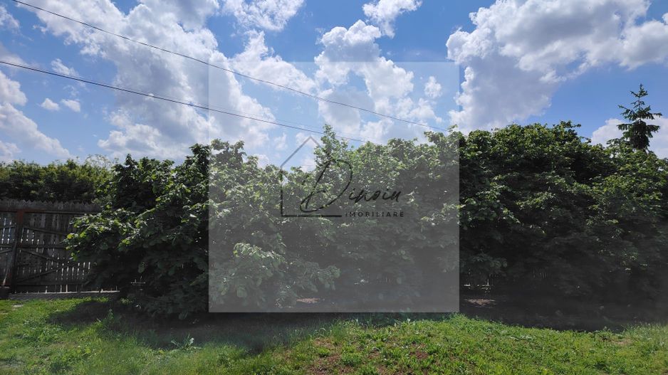 Casa Ciocanesti Cretu - 2 camere cu teren 2539 mp  - Jud. Dambovita - Poză 16