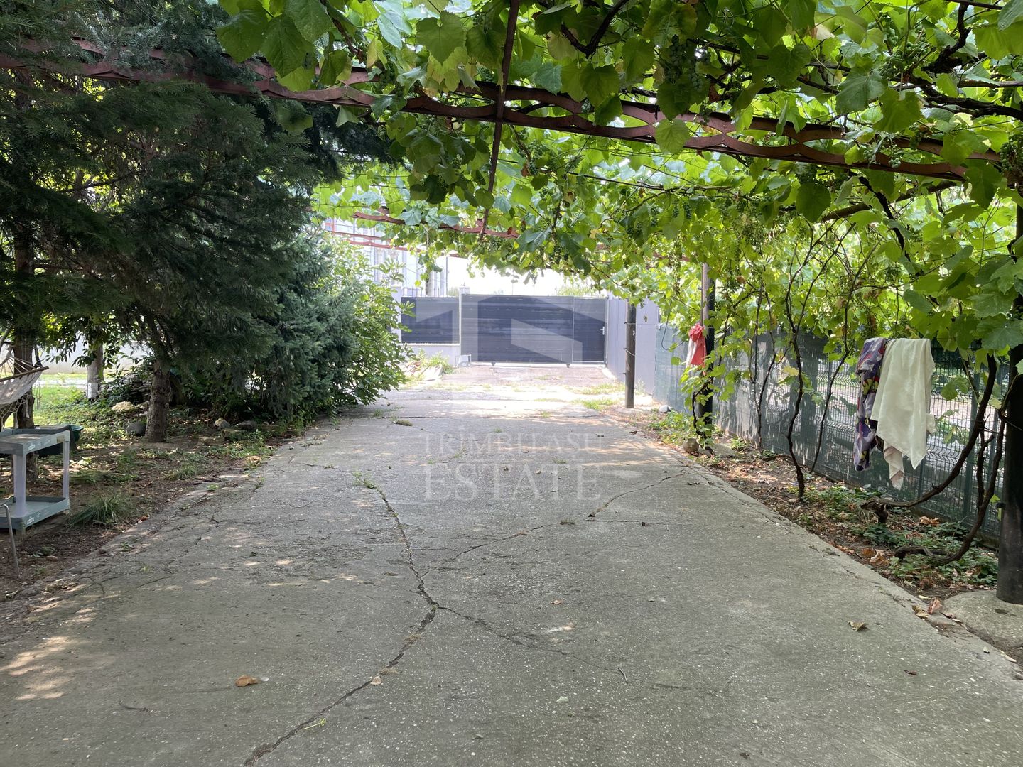 VOLUNTARI - Catedrala | Casa 7 Camere + Constructie Secundara - Poză 3