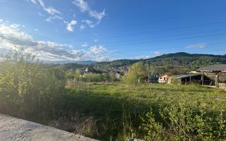 TEREN INTRAVILAN 2500 MP GRUI CAMPULUNG - Poză 5