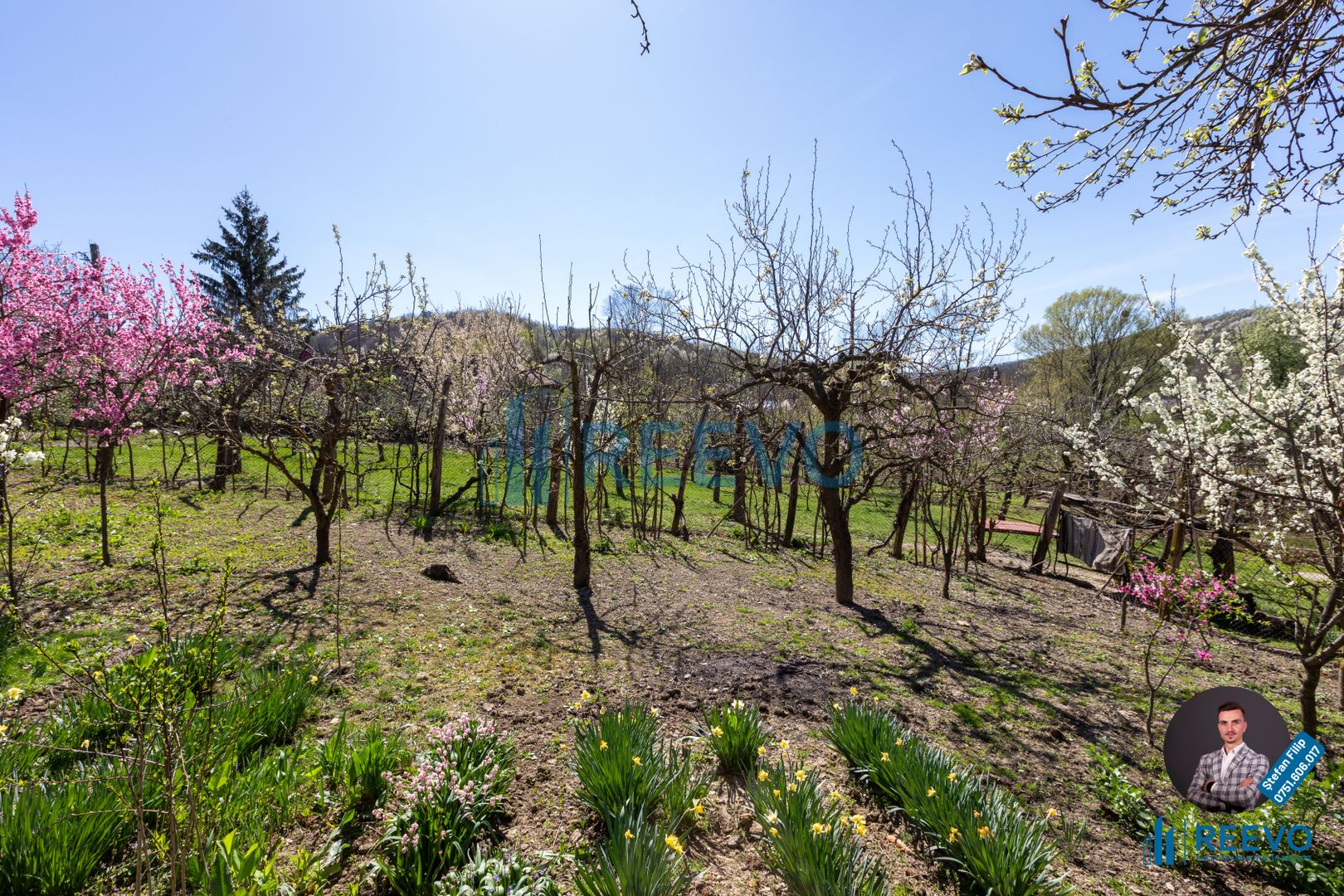 Casă și teren de vânzare, sat Buda, Blăgești, Bacău - Poză 22