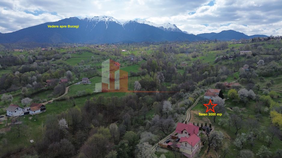 TEREN PREMIUM ÎN BRAN – SOHODOL | 3000 MP CU PANORAMĂ EXCEPȚIONALĂ - Poză 5
