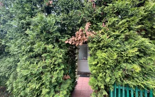 Vila individuala renovata complet | 6 camere | 500 mp teren | Str Jean Monnet - Poză 37