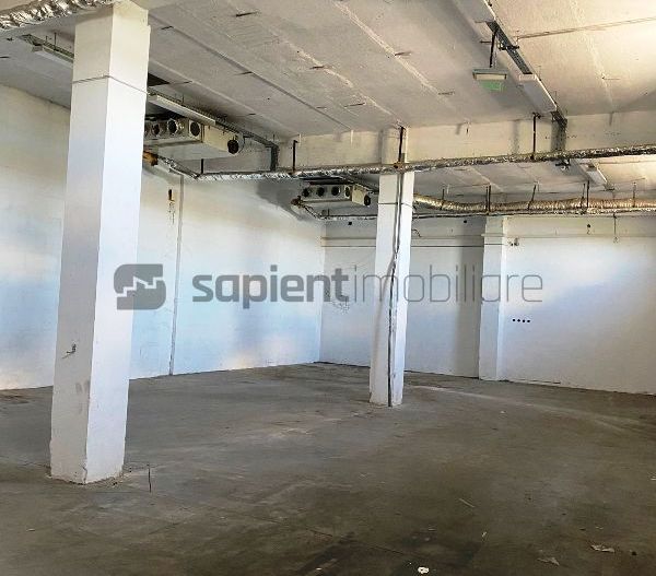 De inchiriat hala cu rampa  in Vama Bors - Poză 6