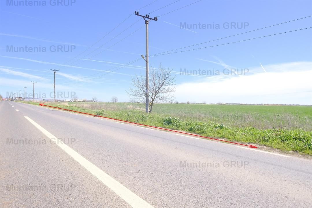 Unicat ! Dascalu, 65.000 mp. teren cu deschidere de 102 ml. la DJ 200 - Poză 2