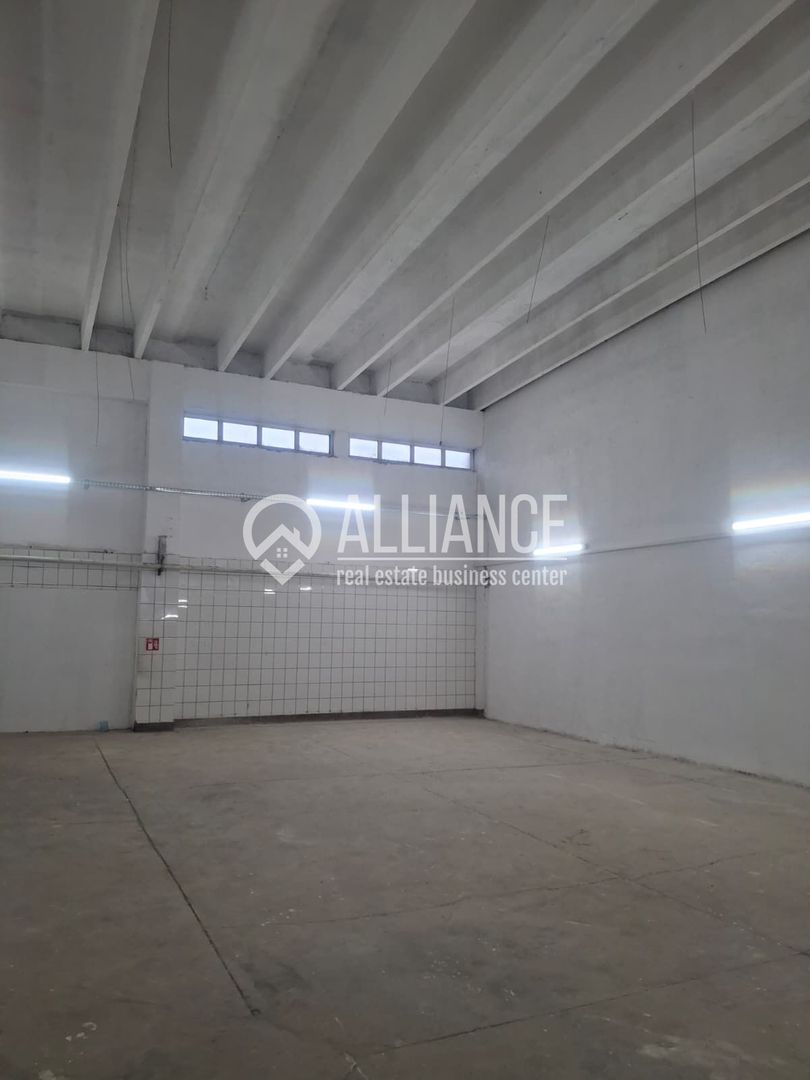 ZONA INDUSTRIALA (COD04)-Hala 270 mp ideal service auto - Poză 2