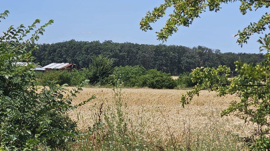 Vanzare Teren Intravilan Buftea, 750mp, str. Ulmului, Pista Biciclete - Poză 5