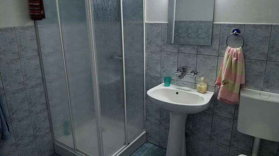 Proprietate industriala  la 35 km de TM - Poză 5