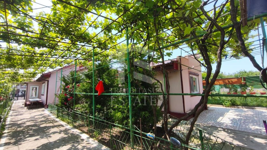 CASA  POIANA | PANOURI SOLARE | TEREN 800 MP - Poză 8