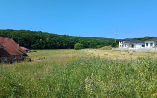 Teren intravilan - Corunca - Poză 2