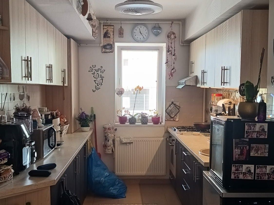 Apartament 3 camere I Th. Pallady I Vanzare - Poză 3