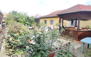 CASA INDIVIDUALA SI HALA CU TEREN  4000 MP - Poză 34