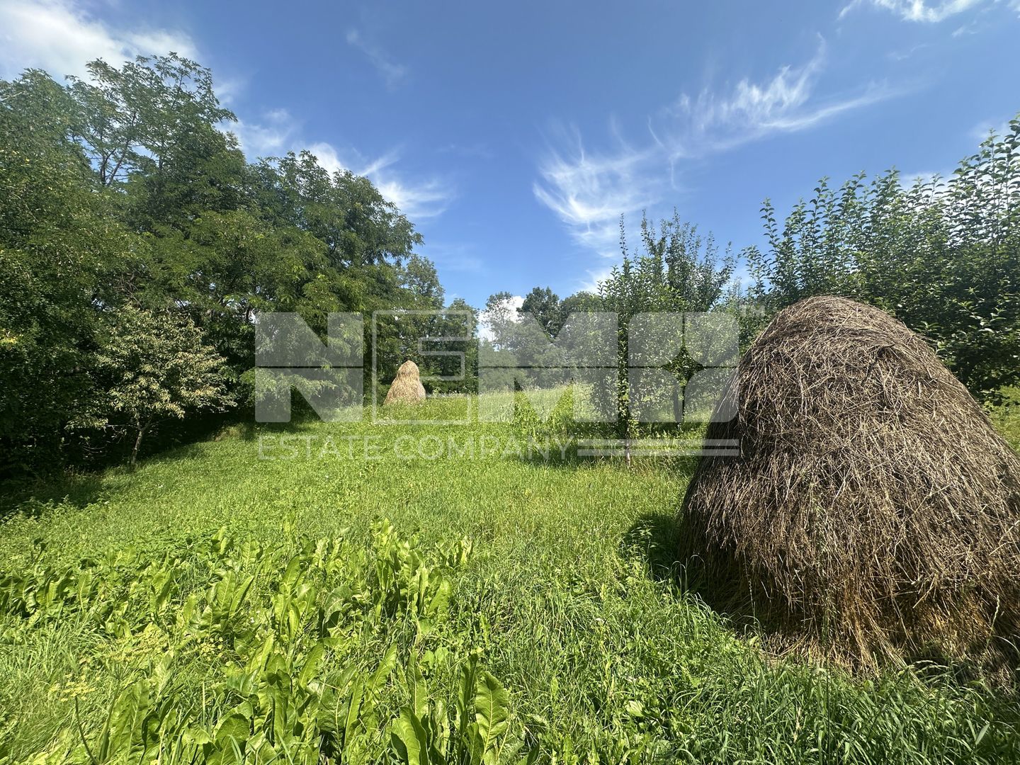 Teren Darmanesti | 41 Ari | 26.500EURO - Poză 4